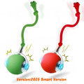 HuntiBall | Interactive Rolling Cat Toy for Indoor Cats