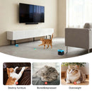 HuntiCat Interactive Hunting Toy for Indoor Cats