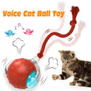 HuntiBall | Interactive Rolling Cat Toy for Indoor Cats