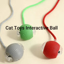 HuntiBall | Interactive Rolling Cat Toy for Indoor Cats