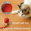 HuntiBall | Interactive Rolling Cat Toy for Indoor Cats