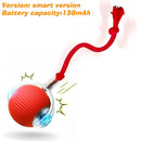 HuntiBall | Interactive Rolling Cat Toy for Indoor Cats