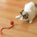 HuntiBall | Interactive Rolling Cat Toy for Indoor Cats