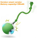 HuntiBall | Interactive Rolling Cat Toy for Indoor Cats