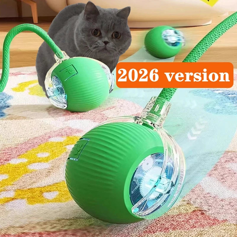 HuntiBall | Interactive Rolling Cat Toy for Indoor Cats