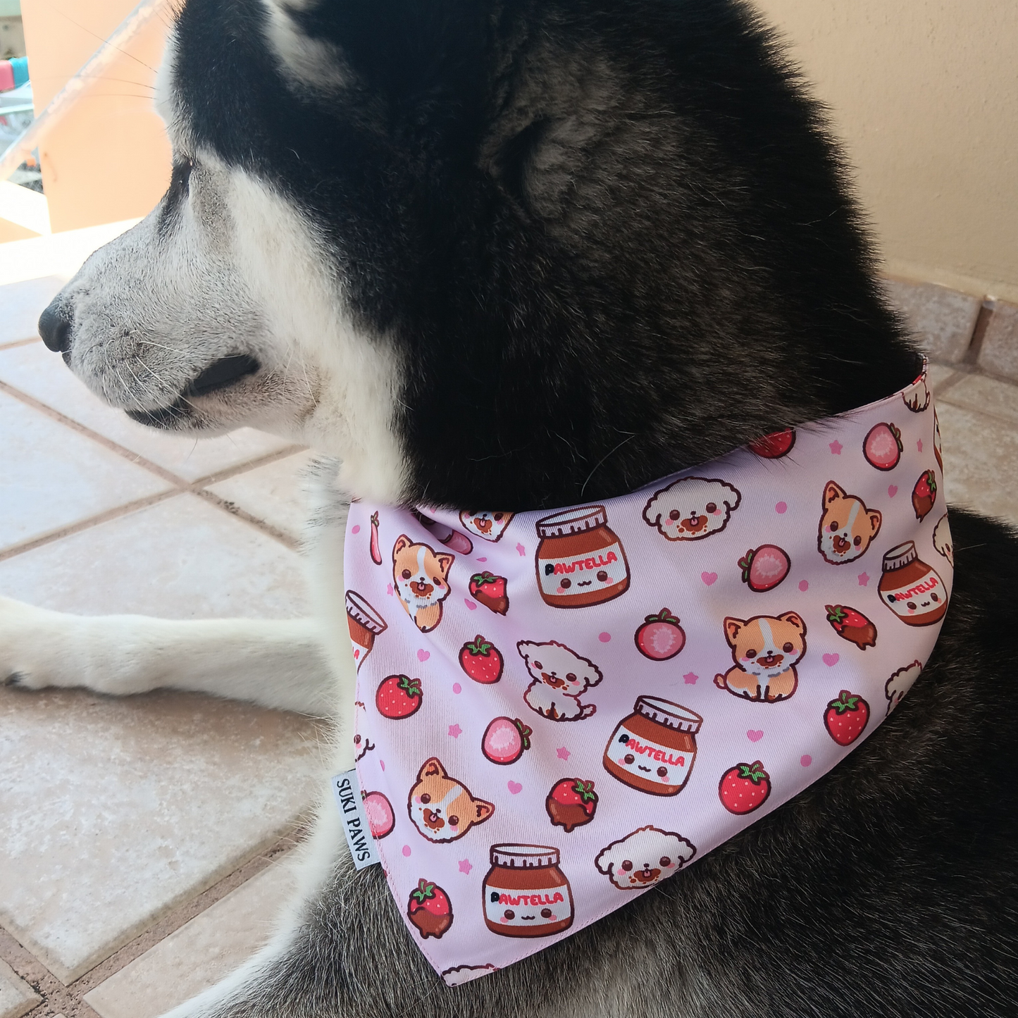 Pawtella Dog Bandana